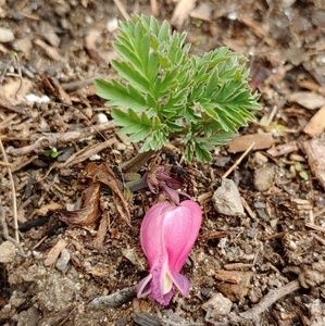 Meet your Posher, Krystal